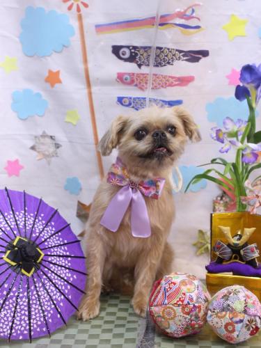 20240512ムーくん